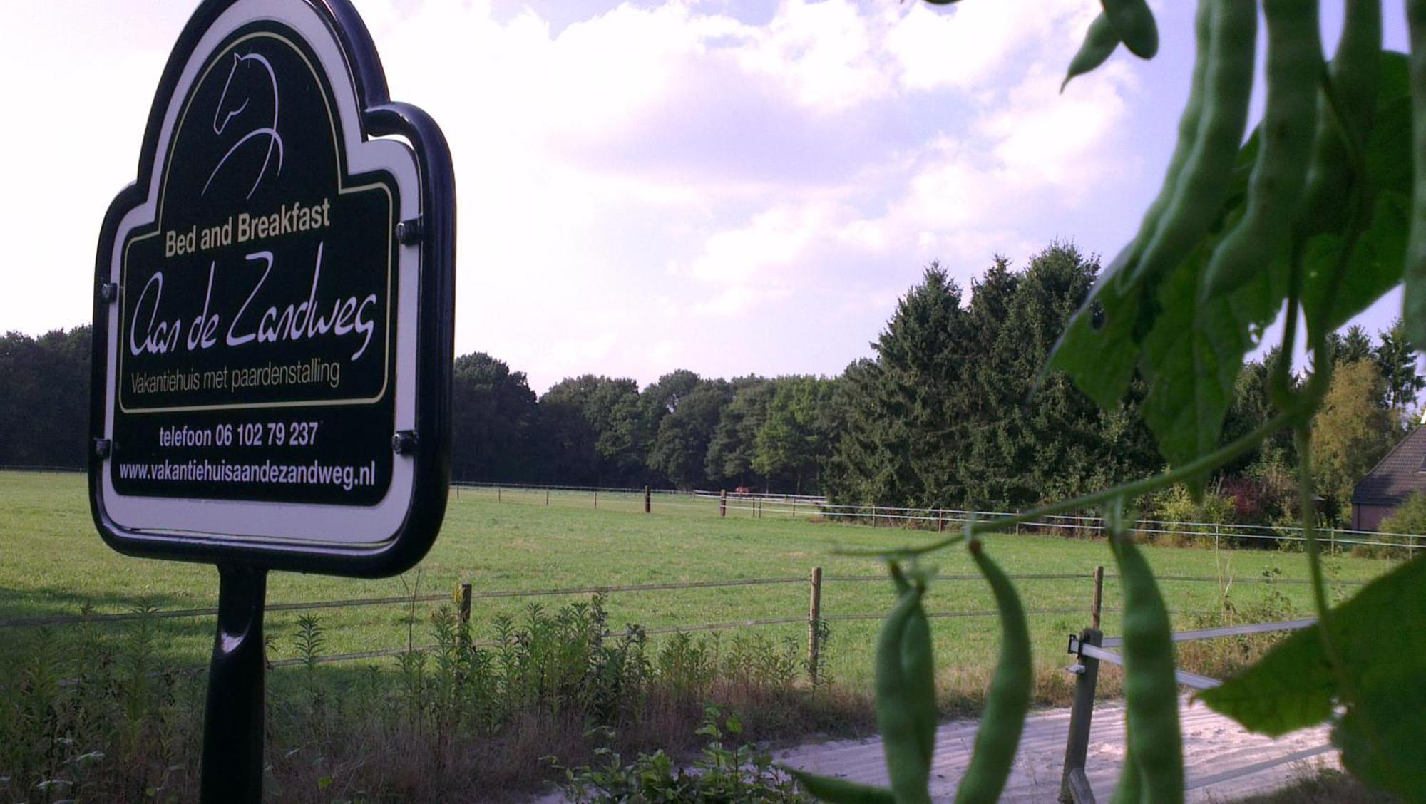 Vakantiehuis "Aan De Zandweg" Roderesch ภายนอก รูปภาพ