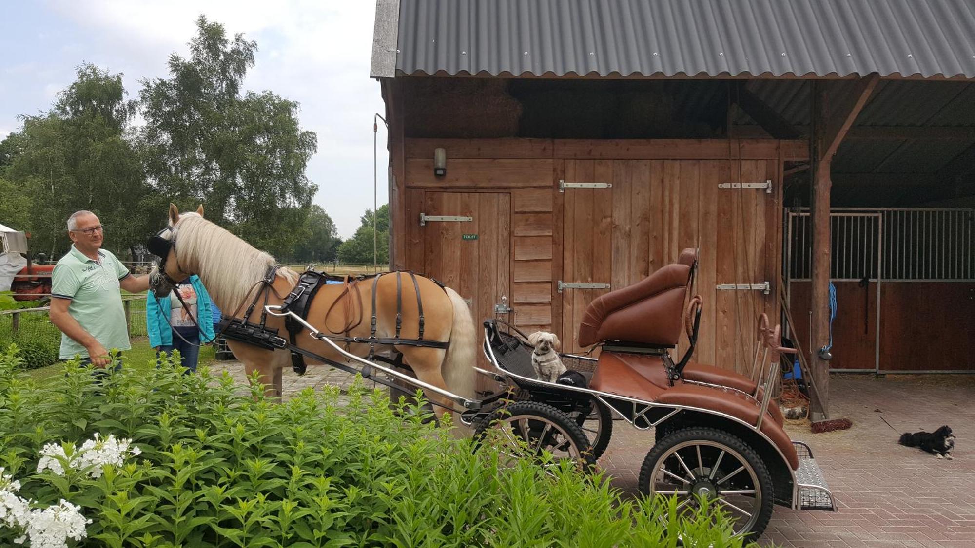 Vakantiehuis "Aan De Zandweg" Roderesch ภายนอก รูปภาพ