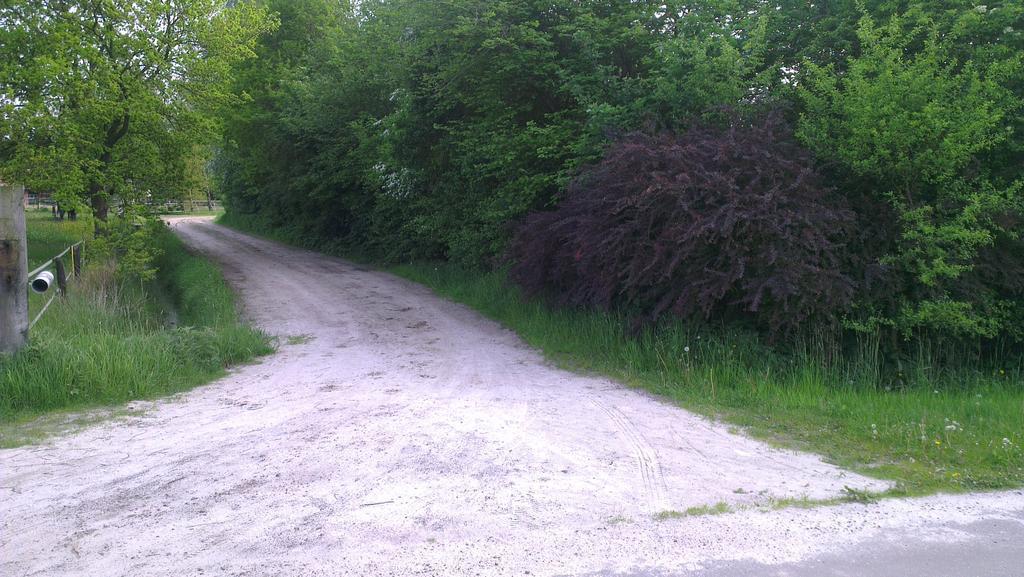 Vakantiehuis "Aan De Zandweg" Roderesch ภายนอก รูปภาพ